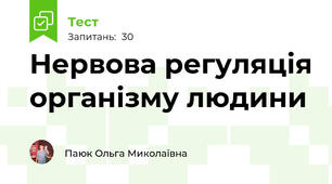Нервова регуляція організму людини