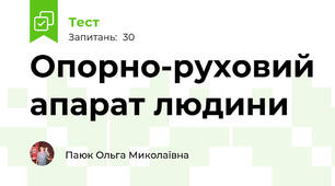 Опорно-руховий апарат людини