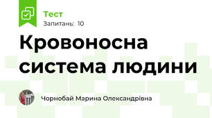 Кровоносна система людини