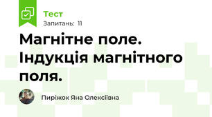 Магнітне поле. Індукція магнітного поля. 