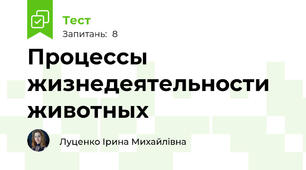 Процессы жизнедеятельности животных