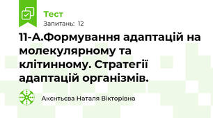 11-А.Формування адаптацій на молекулярному та клітинному. Стратегії адаптацій організмів. 