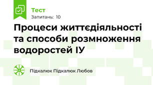 Процеси життєдіяльності та способи розмноження водоростей ІУ