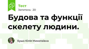 Будова та функції скелету людини. 