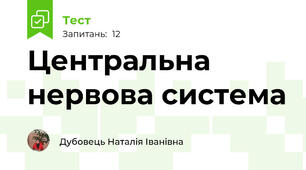 Центральна нервова система
