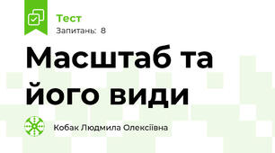 Масштаб та його види