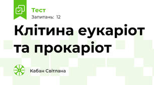 Клітина еукаріот та прокаріот 