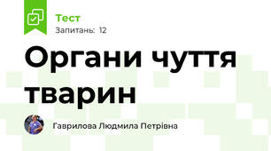 Органи чуття тварин