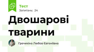 Двошарові тварини