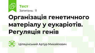 Організація генетичного матеріалу у еукаріотів. Регуляція генів
