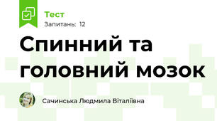 Спинний та головний мозок