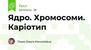 Ядро. Хромосоми. Каріотип