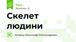 Скелет людини