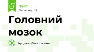 Головний мозок
