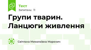 Групи тварин. Ланцюги живлення