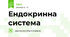 Ендокринна система