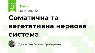 Соматична та вегетативна нервова система