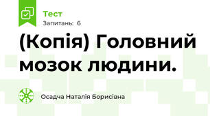 (Копія) Головний мозок людини.
