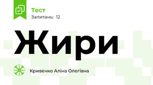 Жири