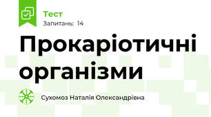 Прокаріотичні організми 
