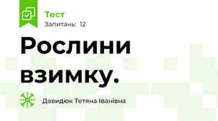 Рослини взимку.