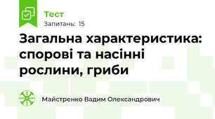 Загальна характеристика: спорові та насінні рослини, гриби
