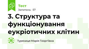 3. Структура та функціонування еукріотичних клітин