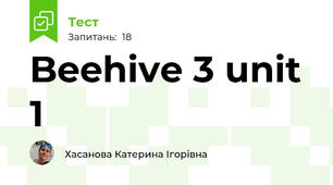 Beehive 3 unit 1