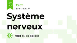 Système nerveux