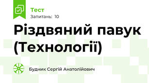 Різдвяний павук (Технології)
