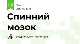 Спинний мозок