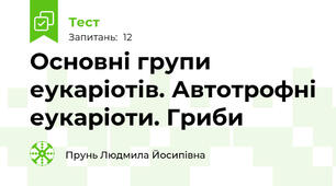 Основні групи еукаріотів. Автотрофні еукаріоти. Гриби