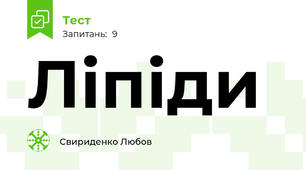 Ліпіди
