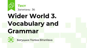 Wider World 3. Vocabulary and Grammar
