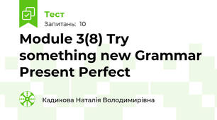 Module 3(8) Try something new Grammar Present Perfect