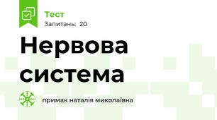 Нервова система