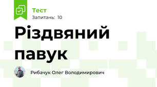 Різдвяний павук 