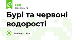Бурі та червоні водорості