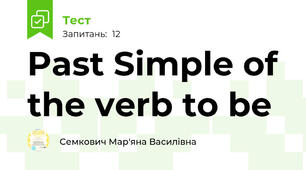 Past Simple of the verb to be