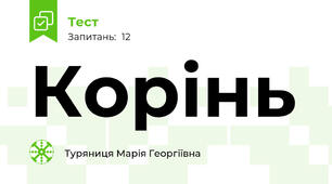 Корінь