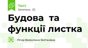 Будова  та функції листка
