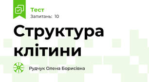 Структура клітини 