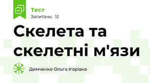 Скелета та скелетні м'язи 