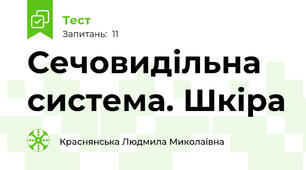 Сечовидільна система. Шкіра