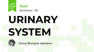 URINARY SYSTEM
