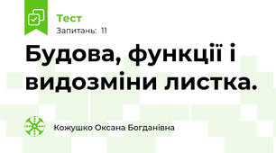 Будова, функції і видозміни листка.