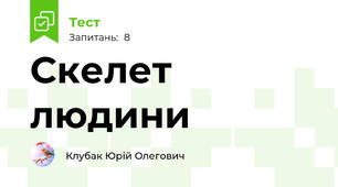 Скелет людини