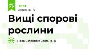 Вищі спорові рослини