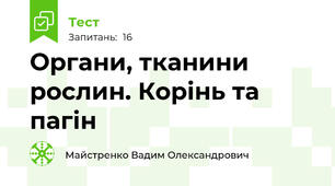 Органи, тканини рослин. Корінь та пагін