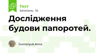 Дослідження будови папоротей.